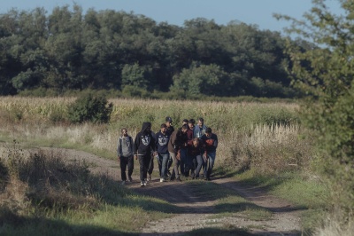 Nielegalni imigranci na granicy słowacko-węgierskiej